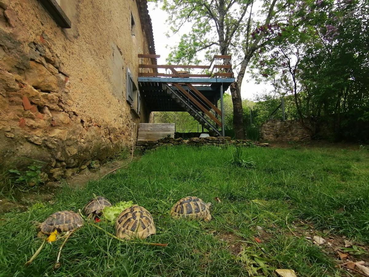 Gite Du Fassac Saint-Julien-du-Puy Bagian luar foto
